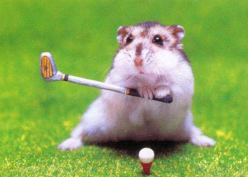 7*5 ��������