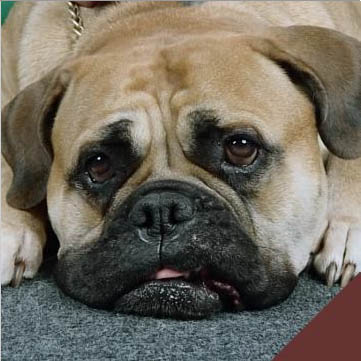 4*4 ��������